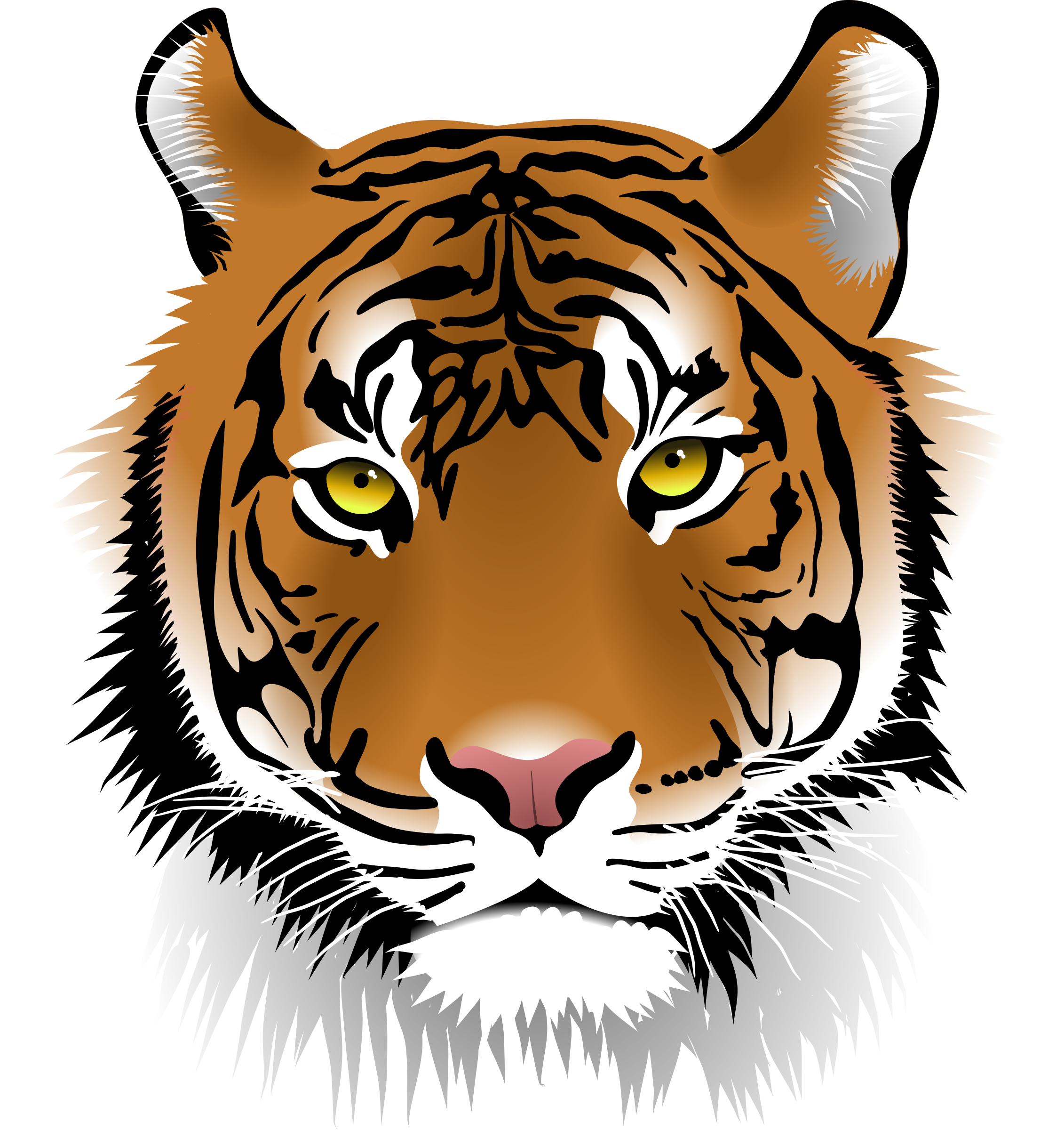 tiger eyes clip art free - photo #20